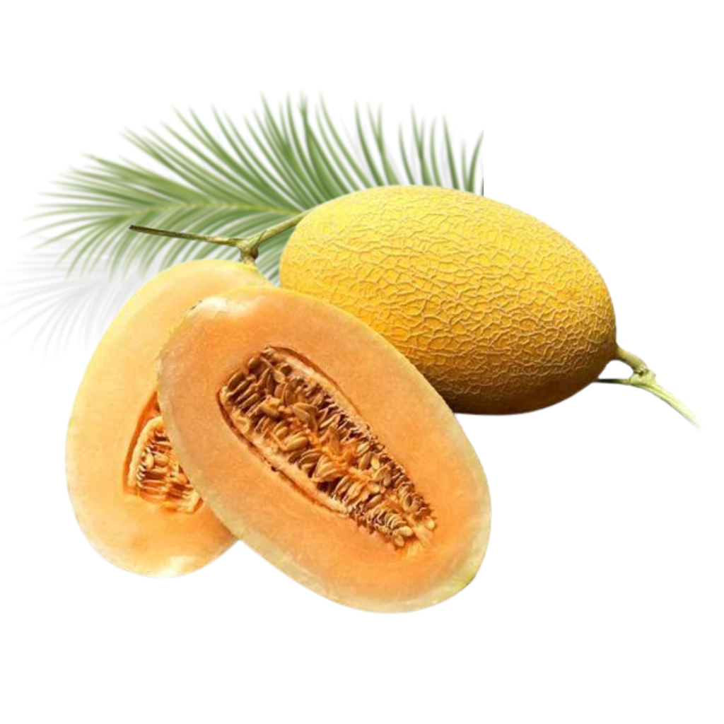 Dưa Lưới Hữu Cơ Hoàng Long