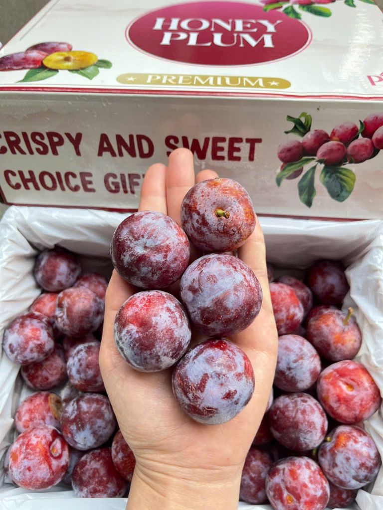 Mận Mật Ong - Hộp 450g