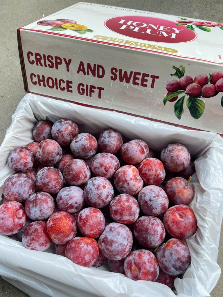 Mận Mật Ong - Hộp 450g