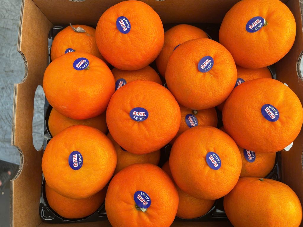 Quýt Úc Citrus Cao Cấp – Thùng 4.5kg