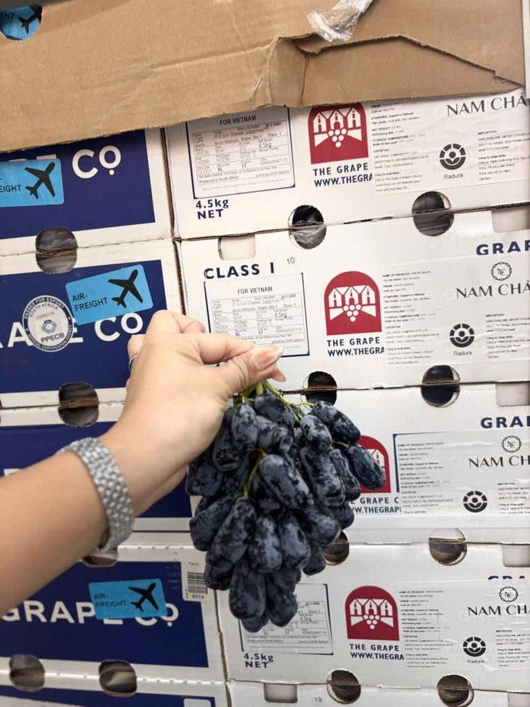 Nho Đen Ngón Tay Cao Cấp – 900gr