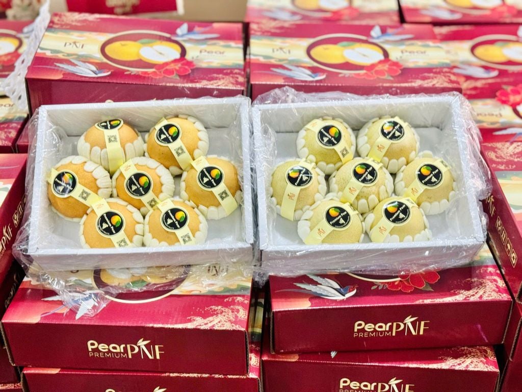 Lê Sữa KK Vip - Thùng 2.5kg