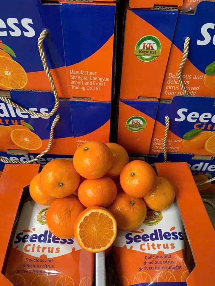 Quýt Úc Seedless KK – Thùng 2 Túi x 900g