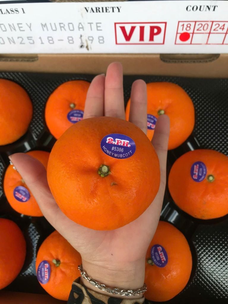 Quýt Úc Citrus Cao Cấp – Thùng 4kg