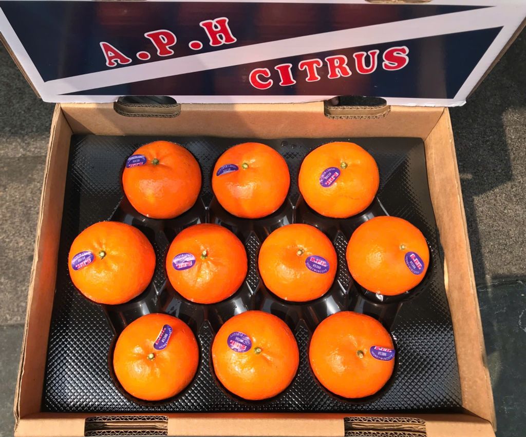 Quýt Úc Citrus Cao Cấp – Thùng 4kg