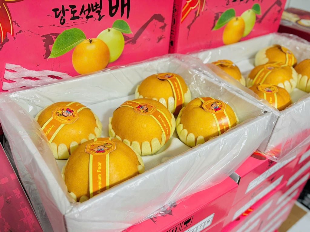 Lê Nâu Cao Cấp Premium Giòn Ngọt - Thùng 5KG