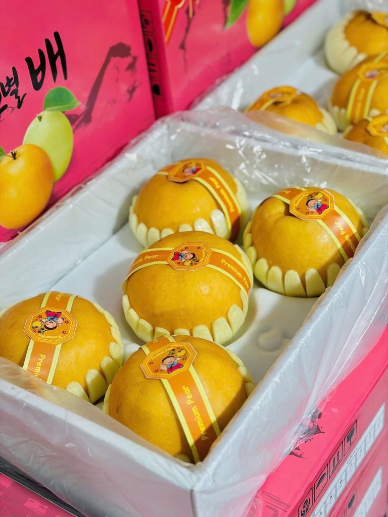 Lê Nâu Cao Cấp Premium Giòn Ngọt - Thùng 5KG