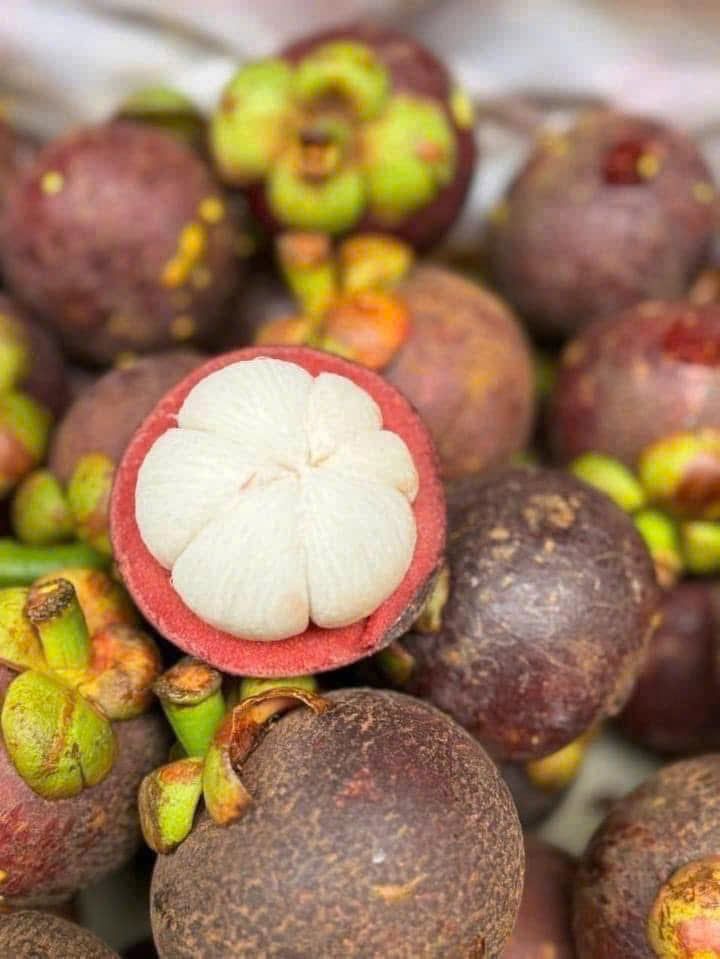 Măng Cụt Thái - 1KG