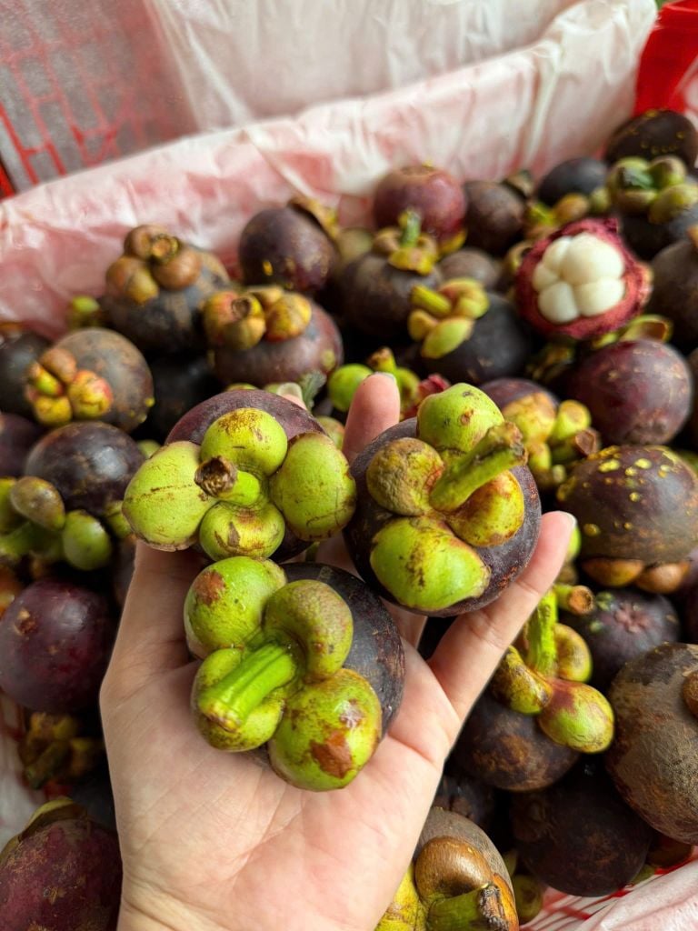 Măng Cụt Thái - 1KG
