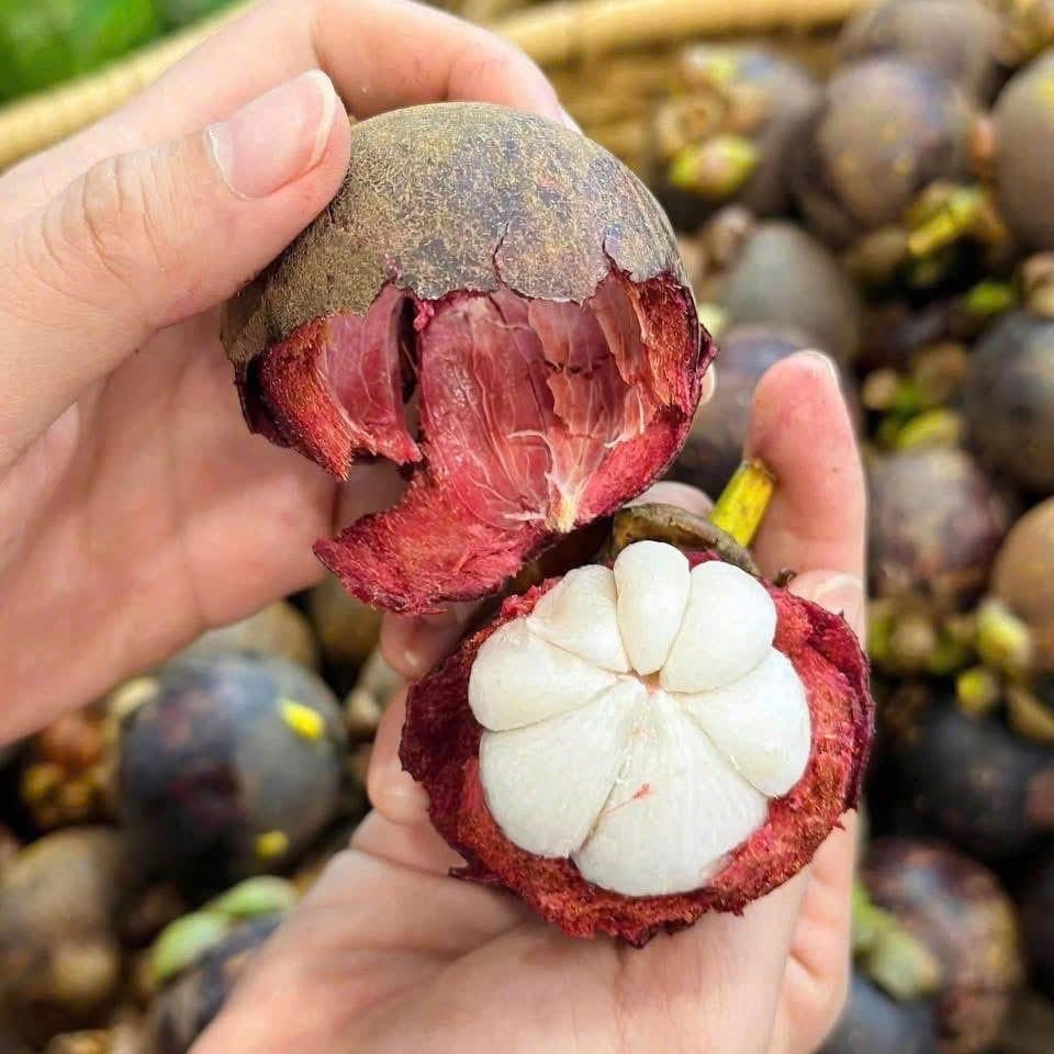 Măng Cụt Thái - 1KG