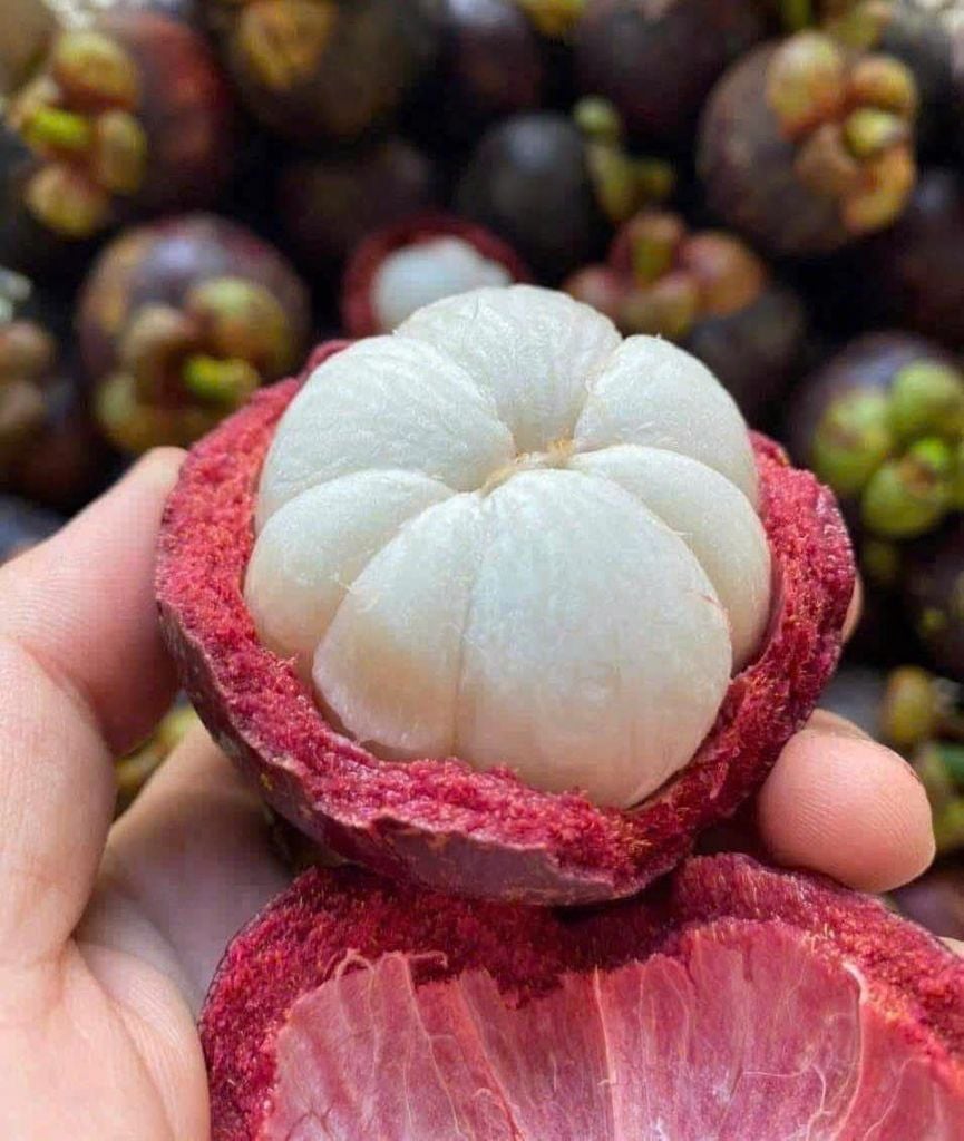 Măng Cụt Thái - 1KG