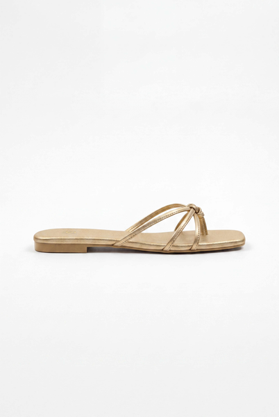  Dép Strappy Flat Sandals nhiều màu 