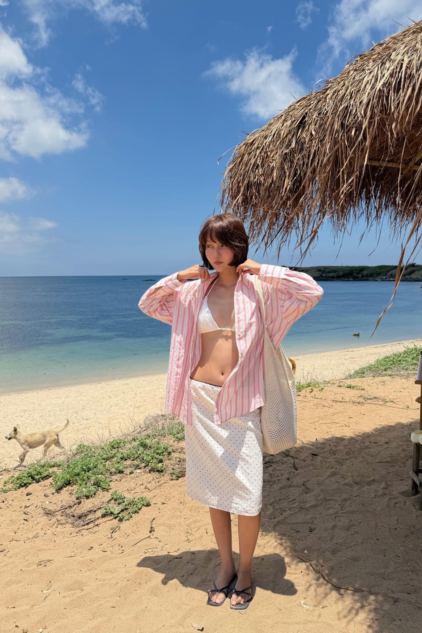 Áo sơ mi Striped Long Sleeves Shirt nhiều màu