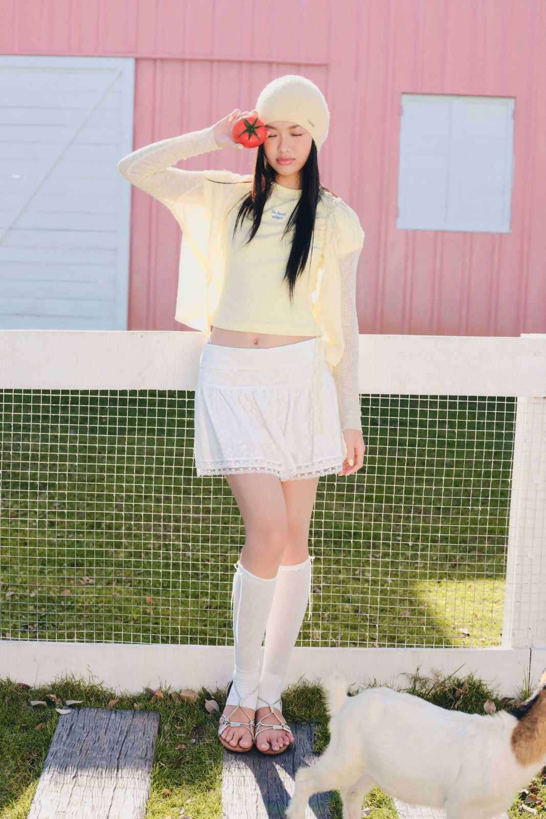 Chân váy ngắn gấu phối ren White Plain Gauze Mini Skirt