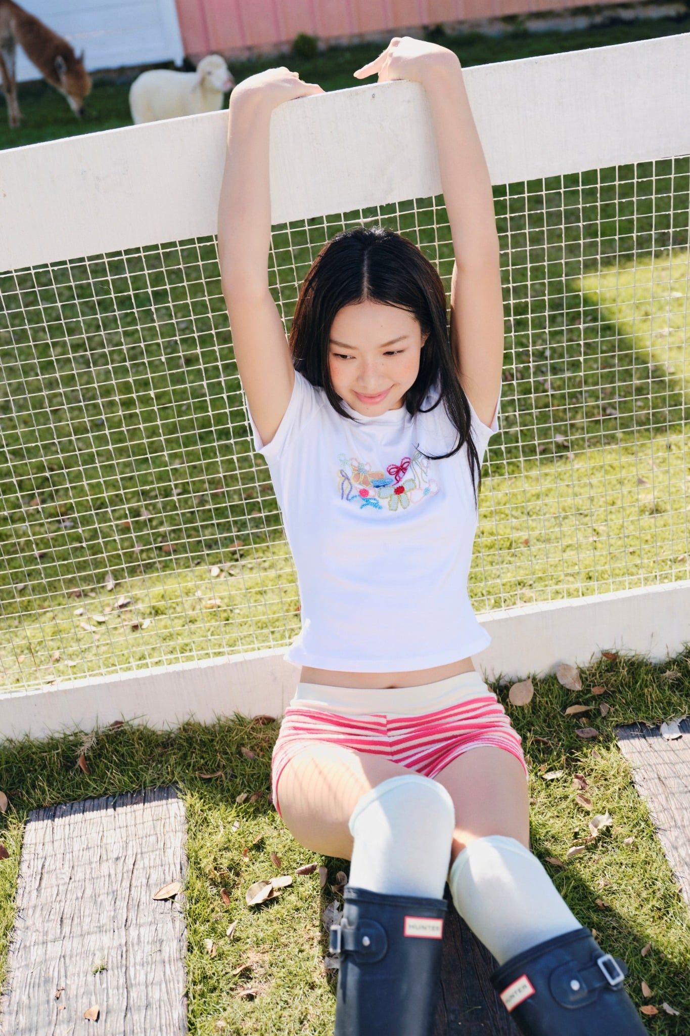 Áo thun form babytee nhiều màu