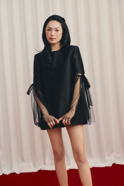  Váy tiệc tay dài thắt nơ Black Mesh Sleeve Mini Dress 