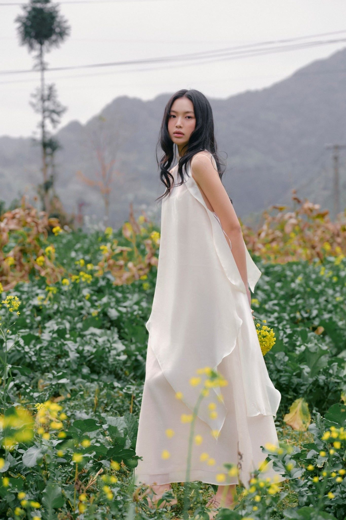 Ozlynn Dress nhiều màu
