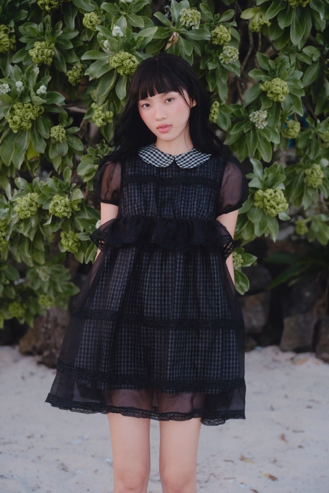 Váy suông cổ sen caro phối tơ Black Checked Chiffon Puff Layered Mini Dress