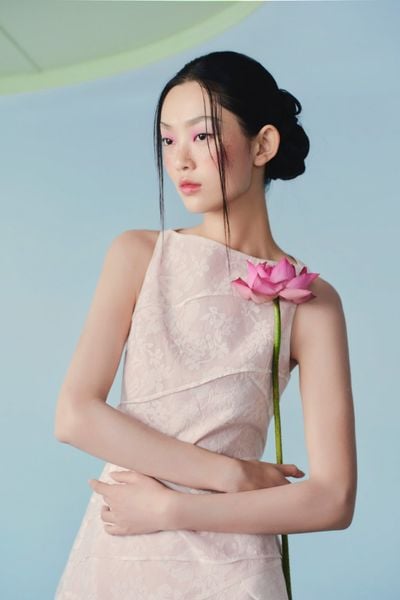  Đầm voan cổ thuyền Bryony Dress nhiều màu 