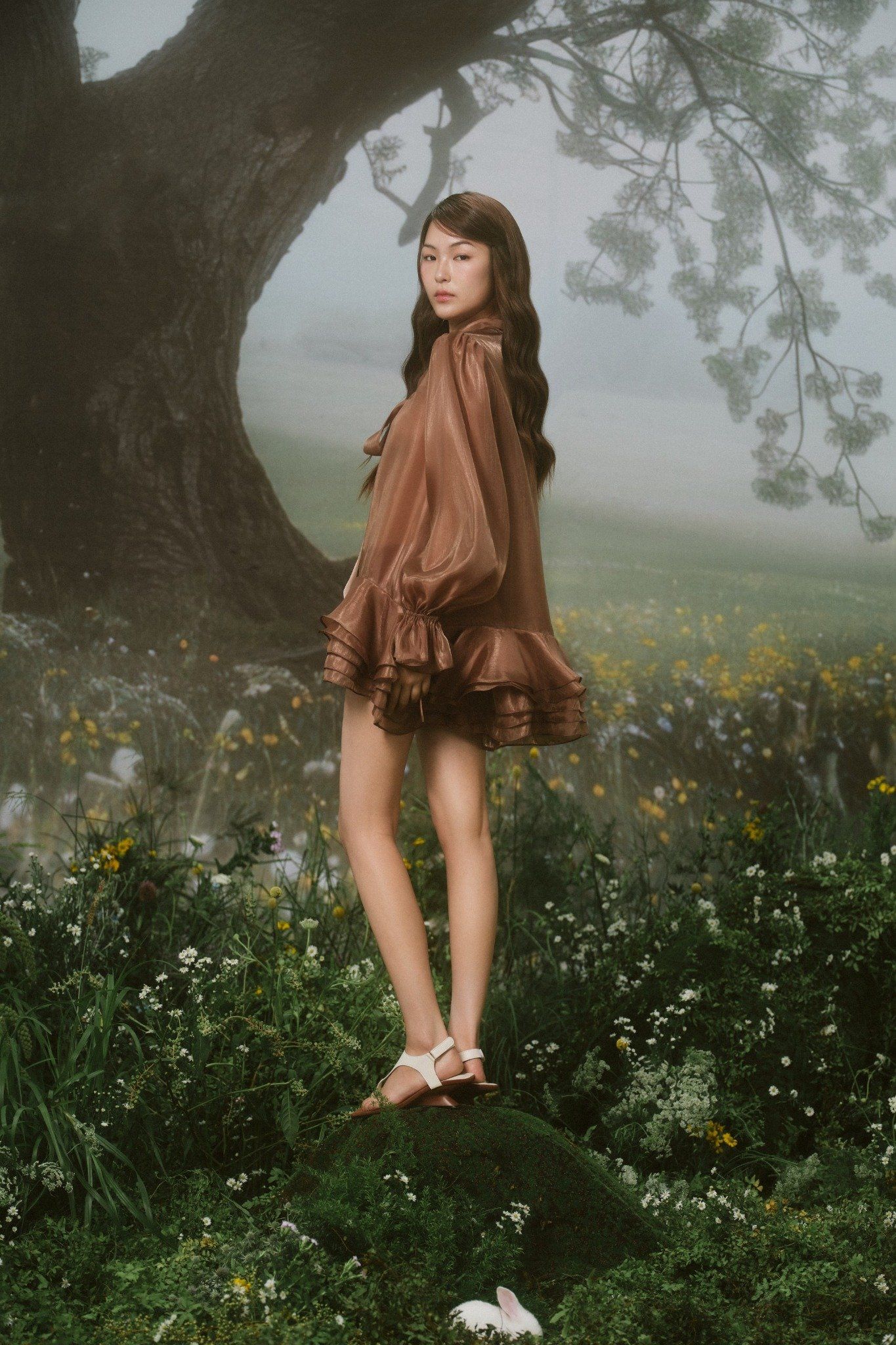 Brown Chiffon Bowy Oversized Mini Dress