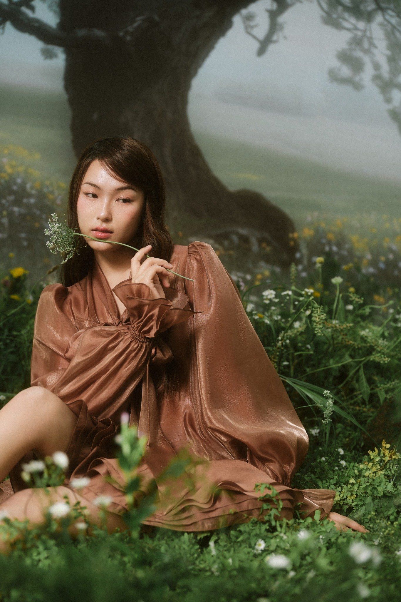 Brown Chiffon Bowy Oversized Mini Dress