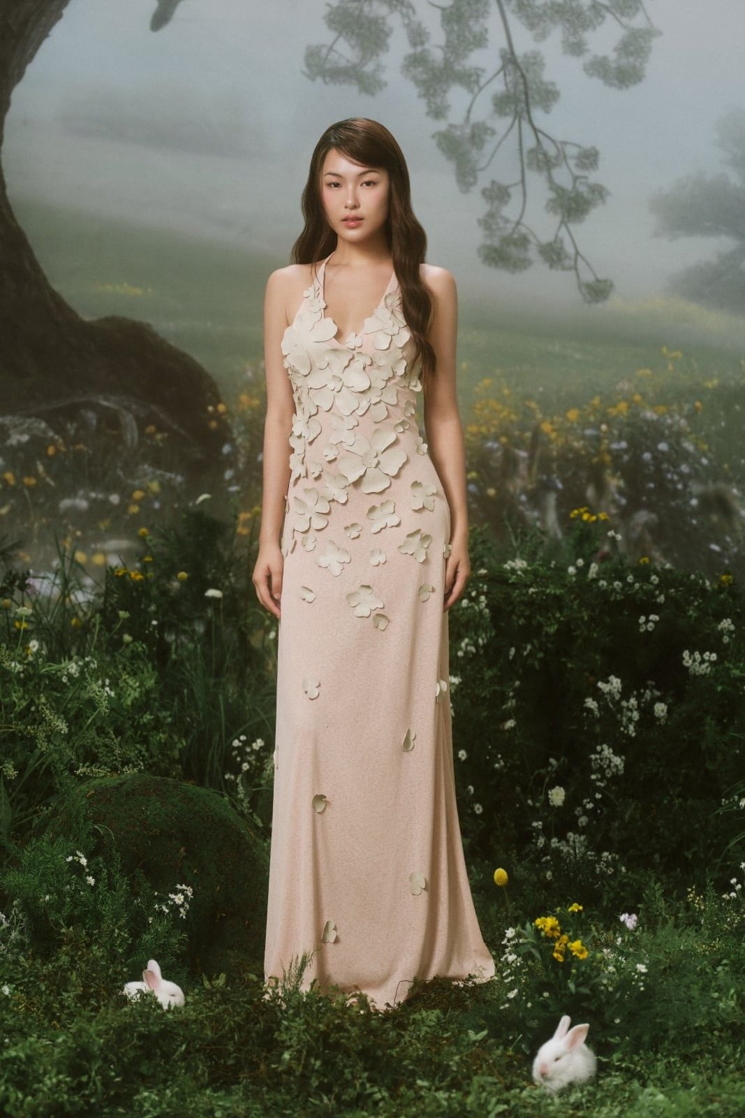 Đầm dự tiệc Eaven Dress