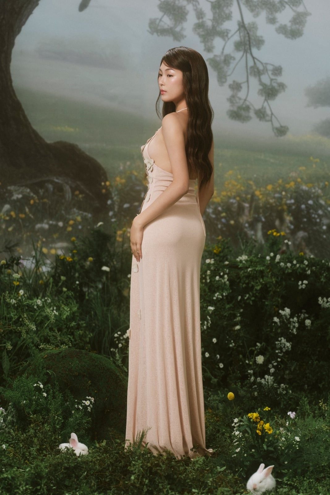 Đầm dự tiệc Eaven Dress
