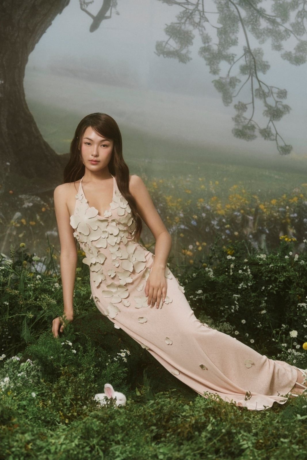 Đầm dự tiệc Eaven Dress