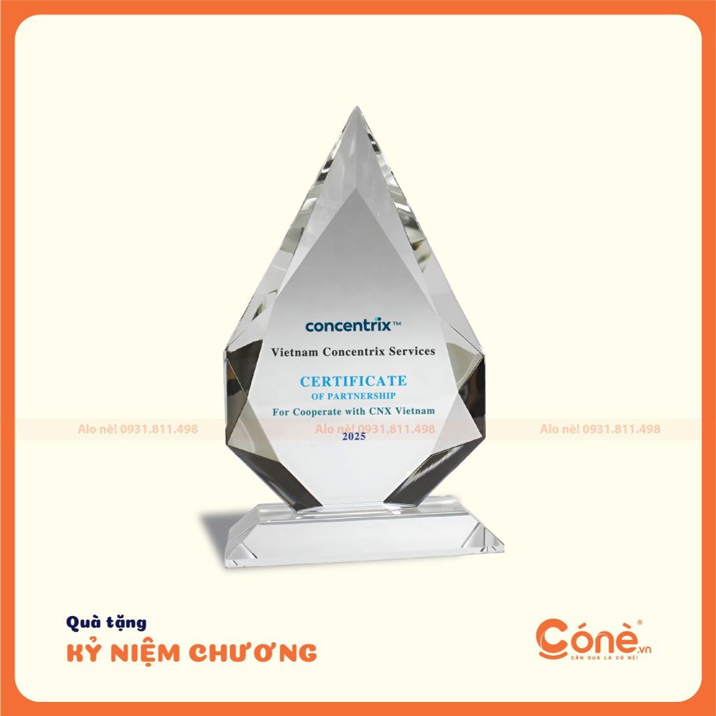 [KNC003] Kỷ Niệm Chương Hình Lục Giác