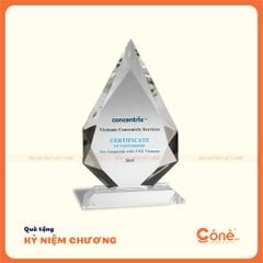 [KNC003] Kỷ Niệm Chương Hình Lục Giác