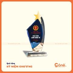 [KNC004] Kỷ Niệm Chương Ngôi Sao Nổi