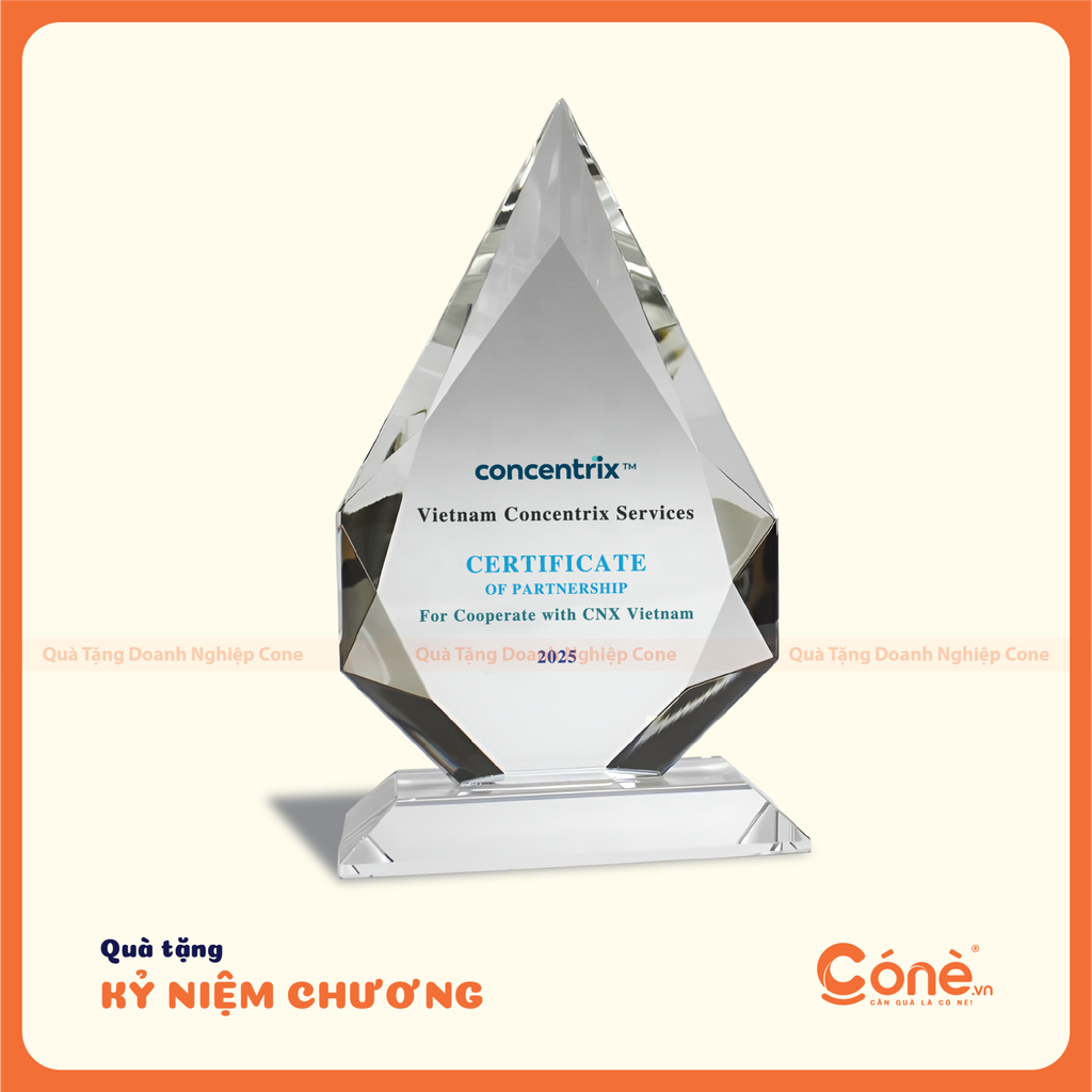 [KNC003] Kỷ Niệm Chương Đồng Hành  | Kỷ Niệm Chương Hình Lục Giác In Logo Doanh Nghiệp