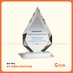 [KNC003] Kỷ Niệm Chương Đồng Hành  | Kỷ Niệm Chương Hình Lục Giác In Logo Doanh Nghiệp
