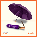 [OD006] Ô Dù Stay Cool | Dù Cán Gỗ