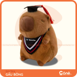 [GB007] Gấu Bông Cozy Friend