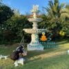 Đài Phun Nước Thiên Thần Đá Sân Vườn Đẹp