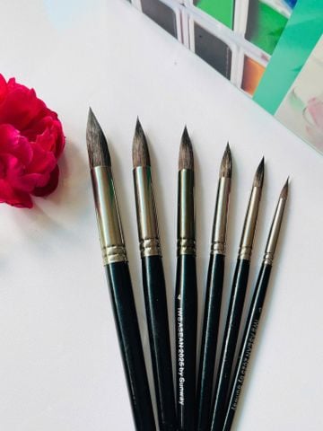  Cọ SUNWAY IWS ASEAN 2025 lông sóc cán ngắn 