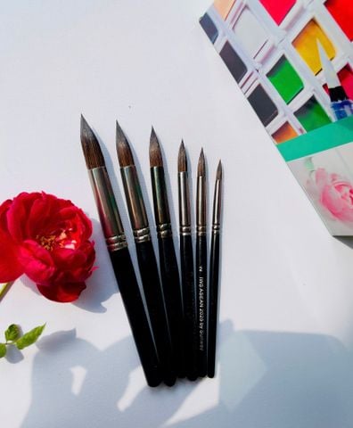  Cọ SUNWAY IWS ASEAN 2025 lông sóc cán ngắn 