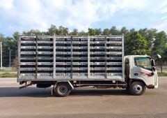 Xe Tải JAC Chở Gà 3.5 Tấn (JAC N500 Chở Gia Cầm)