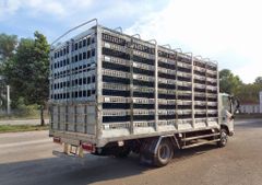 Xe Tải JAC Chở Gà 3.5 Tấn (JAC N500 Chở Gia Cầm)