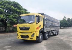 Giá Xe Tải 4 Chân 2026