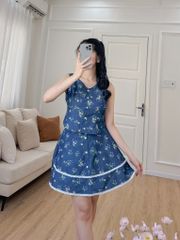 Sét bộ váy ghi lê chùm hoa hồng xanh 2609