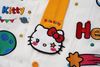 WES®️| ÁO SƠ MI NGẮN TAY THÊU HỌA TIẾT HOẠT HÌNH HELLO KITTY UNISEX 5250