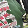 FK®️| ÁO THUN NGẮN TAY CỔ TRÒN COTTON IN HÌNH KTS ĐÍNH ĐÁ FK30