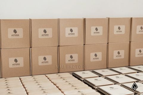 Set sổ, bút và hộp bút gỗ Maple | Đóng gói hộp quà theo yêu cầu