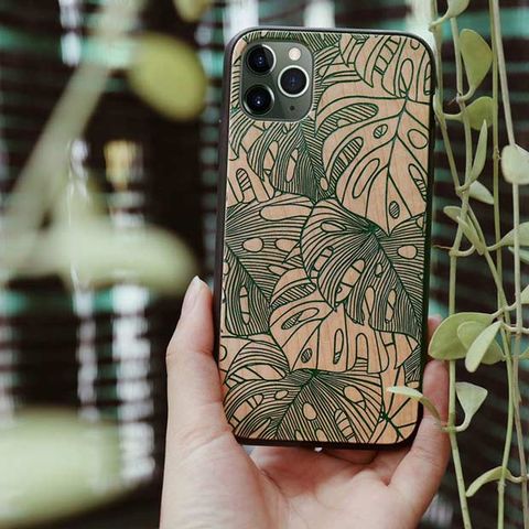 Lá Monstera