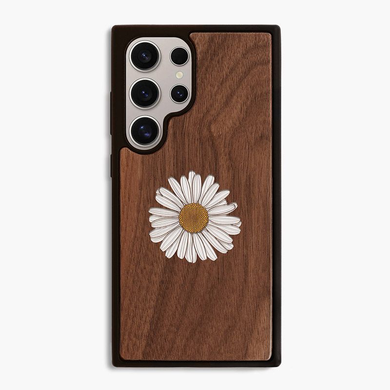 Hoa daisy