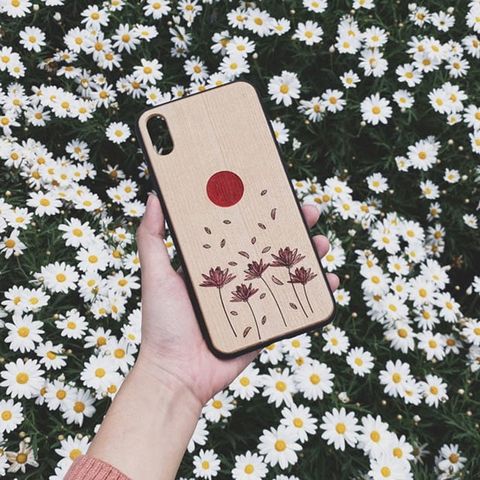 Hoa sen mặt trời