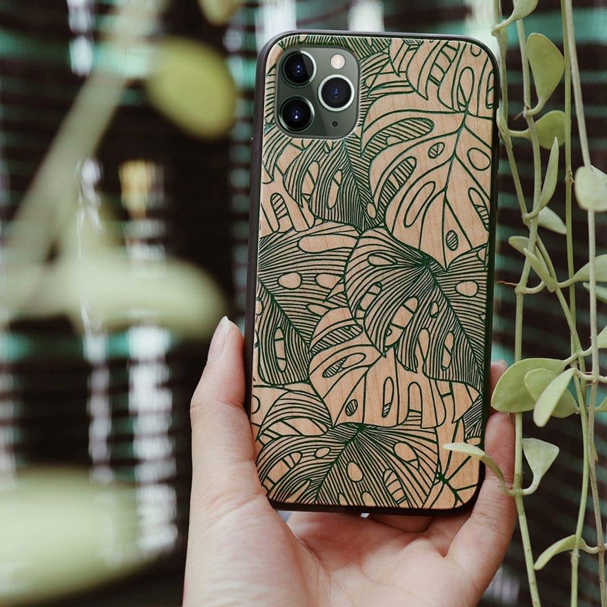 Lá Monstera