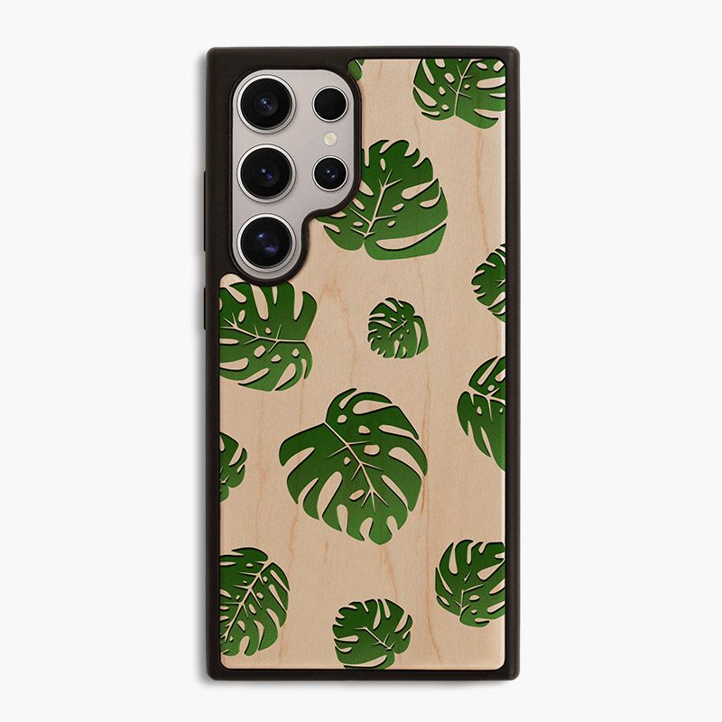 Lá Monstera